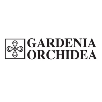 Gardenia Orchidea obklady dlažby